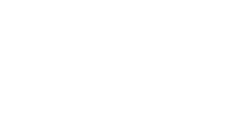 The Flush